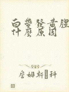 白带发黄腥味是什么原因