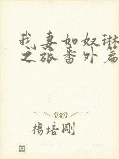 我妻如奴琳的3之旅番外篇大结局封面