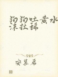 狗狗吐黄水带泡沫拉稀