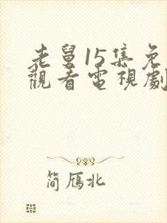 老舅15集免费观看电视剧