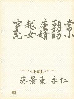 穿越唐朝当李世民女婿的小说