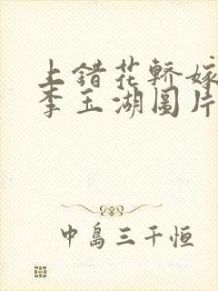 上错花轿嫁对郎李玉湖图片