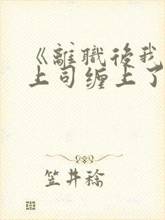 《离职后我被前上司缠上了》封面