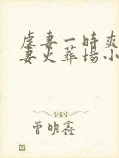 虐妻一时爽,追妻火葬场小说