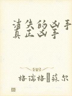 消失的凶手结局真正凶手