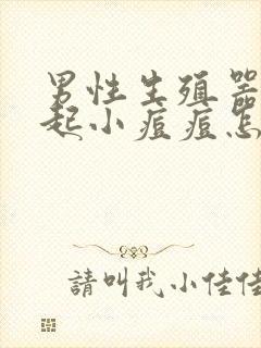 男性生殖器下边起小痘痘怎么回事