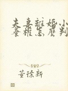 夫妻离婚小孩抚养权怎么判抚养费怎么出