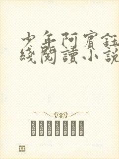 少年阿宾钰慧在线阅读小说txt封面