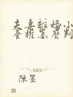 夫妻离婚小孩抚养权怎么判