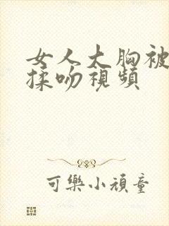 女人大胸被男人揉吻视频