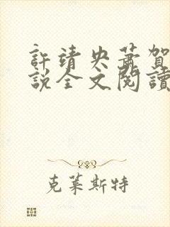 许靖央萧贺夜小说全文阅读最新章节封面