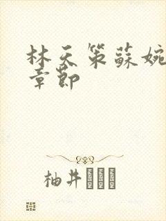 林天策苏婉最新章节