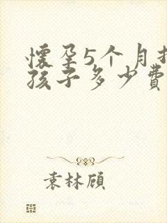 怀孕5个月打掉孩子多少费用封面