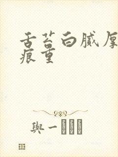 舌苔白腻厚 齿痕重