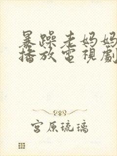 暴躁老妈妈免费播放电视剧