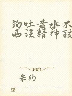 狗吐黄水不吃东西没精神该怎么办?