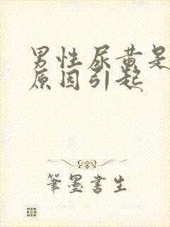 男性尿黄是什么原因引起