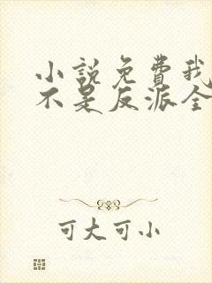 小说免费我真的不是反派全文阅读