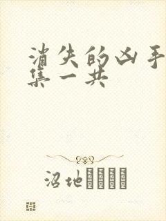 消失的凶手多少集一共