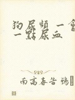 狗尿频 一会尿一点尿血