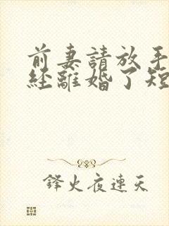 前妻请放手我已经离婚了短剧