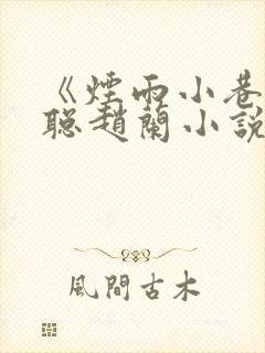 《烟雨小巷》刘聪赵兰小说免费阅读