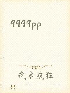 9999pp封面