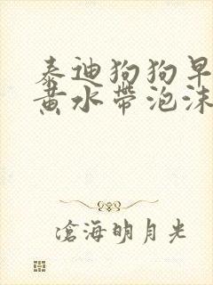 泰迪狗狗早上吐黄水带泡沫