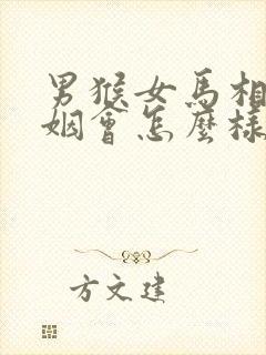 男猴女马相配婚姻会怎么样