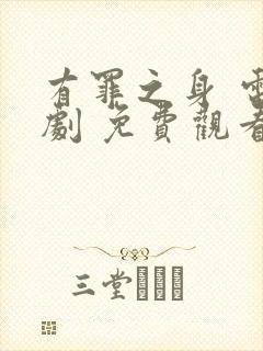 有罪之身 电视剧 免费观看封面