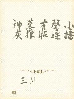 神墓有声小说大灰狼版连播