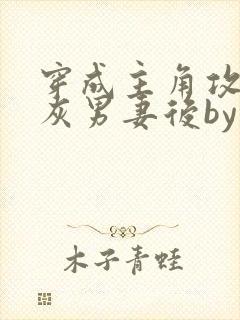 穿成主角攻的炮灰男妻后by渡全文阅读txt