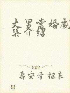 大男当婚剧情分集介绍