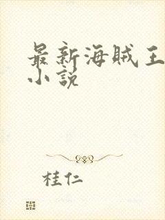 最新海贼王同人小说