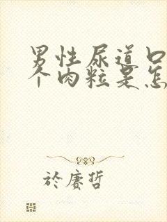 男性尿道口起了个肉粒是怎么回事