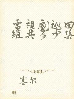 电视剧巡回检察组共多少集封面