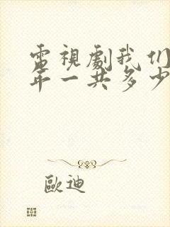 电视剧我们这十年一共多少集