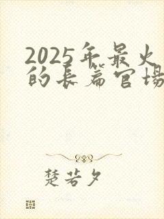 2025年最火的长篇官场小说