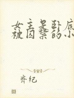 女主是卧底失败被囚禁的小说