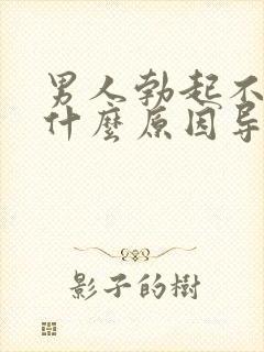 男人勃起不坚是什么原因导致