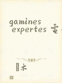 gamines expertes 电影
