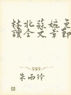 林北苏婉免费阅读全文章节封面