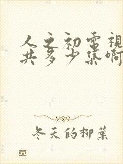 人之初电视剧一共多少集啊