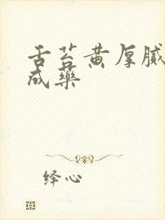 舌苔黄厚腻 中成药封面