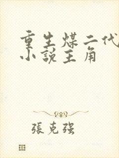 重生煤二代林浩小说主角封面