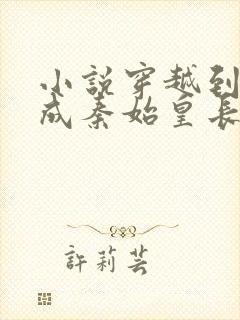 小说穿越到秦朝成秦始皇长子