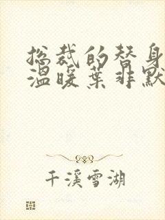 总裁的替身前妻温暖叶非默封面