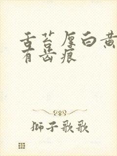 舌苔厚白黄舌边有齿痕