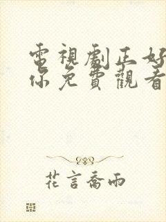 电视剧正好遇见你免费观看全集