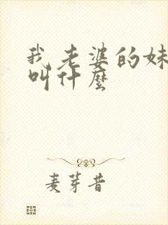 我老婆的妹妹我叫什么